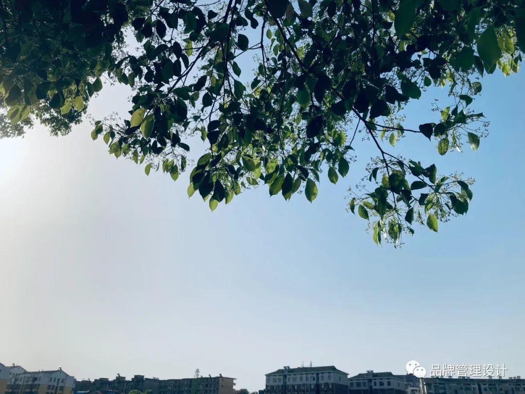 1683610874733233.jpg a2.jpg